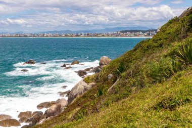 Arka planda Canto Grande plajı olan bitki örtüsü ve dalgalar, Bombinhas, Santa Catarina, Brezilya