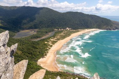 Beach, forest and rocks in the wild Lagoinha do Leste beach, Florianopolis, Santa Catarina, Brazil