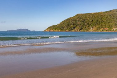 Houses, waves and vegetation at Ponta das Canas beach, Santa Catarina, Brazil
