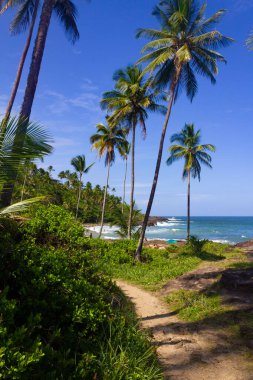 Rocks, waves, sand and vegetation at Praia do Resende beach, Itacare, Bahia, Brazil