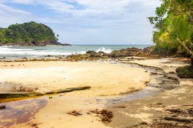 Vegetation, sand and waves at Prainha beach, Itacare, Bahia, Brazil
