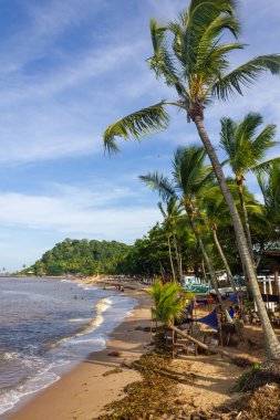 Vegetation, sand and waves at Praia da Concha beach, Itacare, Bahia, Brazil