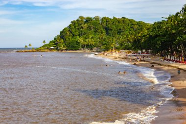 Vegetation, sand and waves at Praia da Concha beach, Itacare, Bahia, Brazil