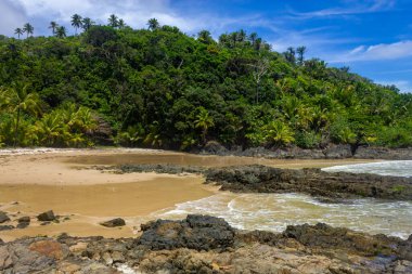 Rocks and forest at Camboinha beach, Itacare, Bahia, Brazil