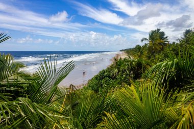 Beach and vegetation at Itacarezinho beach, Itacare, Bahia, Brazil