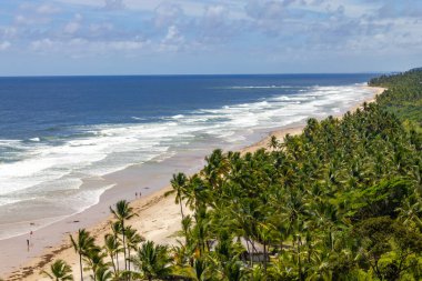 Trees and waves at Itacarezinho beach, Itacare, Bahia, Brazil