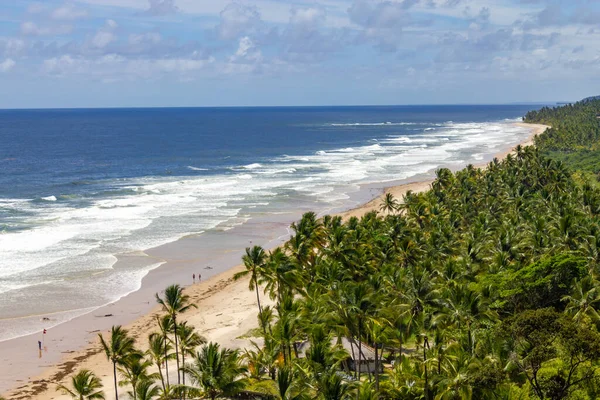 Trees and waves at Itacarezinho beach, Itacare, Bahia, Brazil