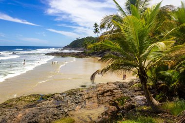 Vegetation, waves and rocks at Havaizinho beach, Itacare, Bahia, Brazil