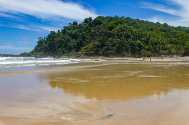 Forest and  waves at Engenhoca beach, Itacare, Bahia, Brazil