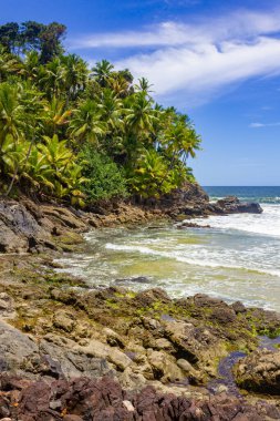 Trees and rocks at Havaizinho beach, Itacare, Bahia, Brazil