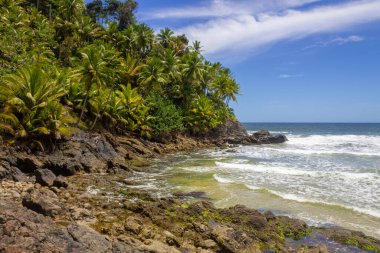 Trees and rocks at Havaizinho beach, Itacare, Bahia, Brazil