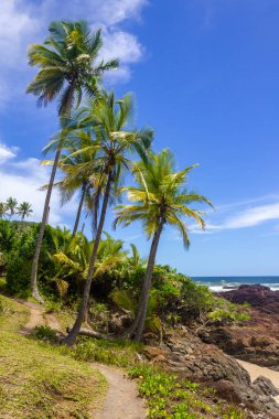 Trail with trees and rocks at Havaizinho beach, Itacare, Bahia, Brazil