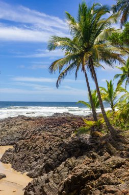Sand, waves and rocks at Havaizinho beach, Itacare, Bahia, Brazil