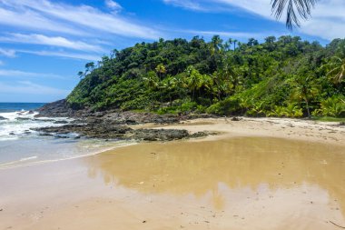 Rocks and forest at Camboinha beach, Itacare, Bahia, Brazil