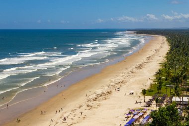 Coconut trees, sand and waves at Pe de Serra beach, Serra Grande,Bahia, Brazil