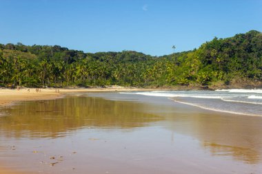 Forest and  waves at Prainha beach, Itacare, Bahia, Brazil