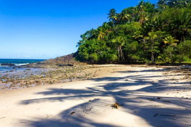 Forest, rocks and  waves at Prainha beach, Itacare, Bahia, Brazil