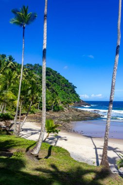 Forest and  waves at Sao Jose beach, Itacare, Bahia, Brazil
