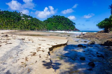 Forest and  waves at Sao Jose beach, Itacare, Bahia, Brazil