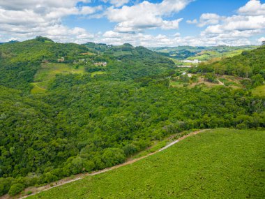 Bir vadideki üzüm bağı ve orman, Otavio Rocha, Flores da Cunha, Rio Grande do Sul, Brezilya