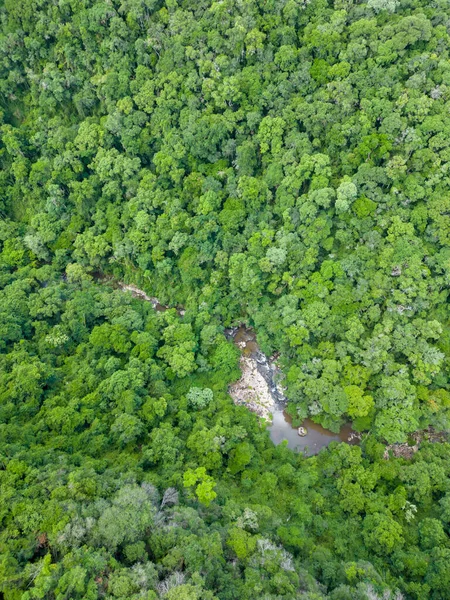 Вид Повітря Ліс Річку Отавіо Роша Флорес Кунья Ріо Гранді — стокове фото