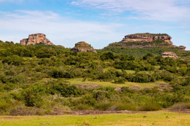 Jeolojik oluşum ve orman, Cacapava do Sul, Rio Grande do Sul, Brezilya