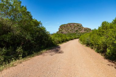 Jeolojik oluşumlar ve bitkiler, Cacapava do Sul, Rio Grande do Sul, Brezilya