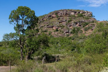 Jeolojik oluşumlar ve bitkiler, Cacapava do Sul, Rio Grande do Sul, Brezilya