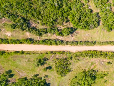 Tarlası ve ormanı olan kirli yol manzarası, Cacapava do Sul, Rio Grande do Sul, Brezilya