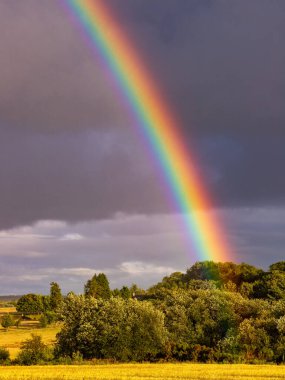 Buğday tarlasında gökkuşağı, Rathdrum, Wicklow, İrlanda