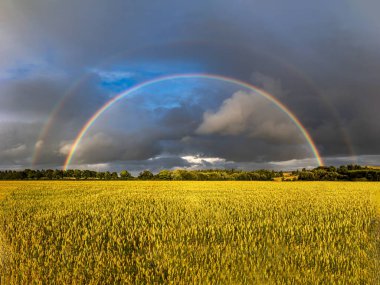 Çifte Gökkuşağı Buğday Tarlası, Rathdrum, Wicklow, İrlanda