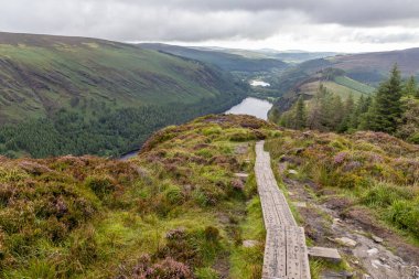 Wicklow dağındaki patika bakış açısı, Wicklow, İrlanda