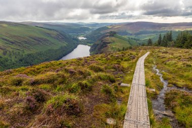 Wicklow Dağı 'nda patika, Wicklow, İrlanda