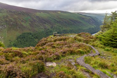 Wicklow dağındaki patika bakış açısı, Wicklow, İrlanda