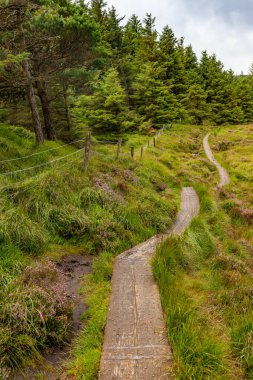 Wicklow Dağı 'nda patika, Wicklow, İrlanda