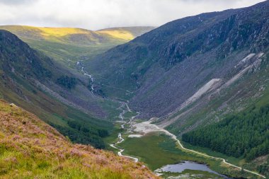 Wicklow Dağı 'nda patika, Wicklow, İrlanda
