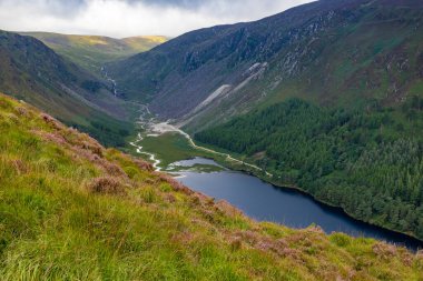 Wicklow Dağı 'nda patika, Wicklow, İrlanda