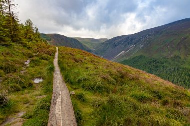 Wicklow Dağı 'nda patika, Wicklow, İrlanda