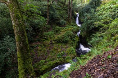 Wicklow, İrlanda 'daki Wicklow dağlarında şelale