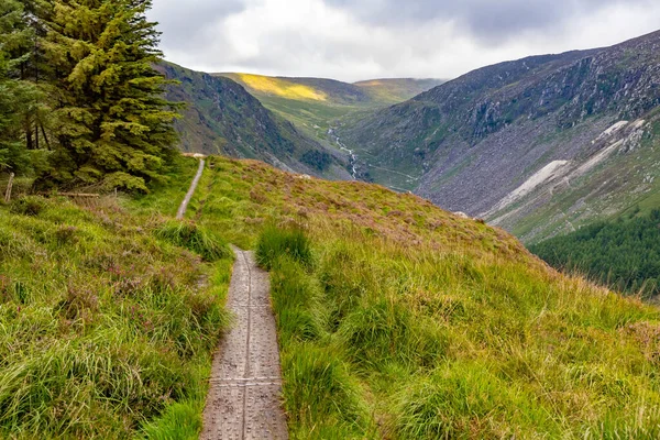 Trail Wicklow Mountain Wicklow Ireland Royalty Free Stock Images