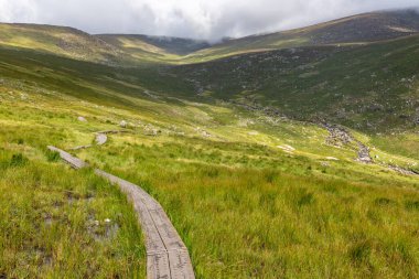 Wicklow Dağı 'nda patika, Wicklow, İrlanda