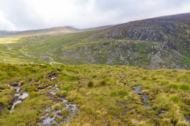 Wicklow Dağı 'nda patika, Wicklow, İrlanda