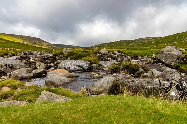 Trail Wicklow Mountain Wicklow Irland — Stockfoto