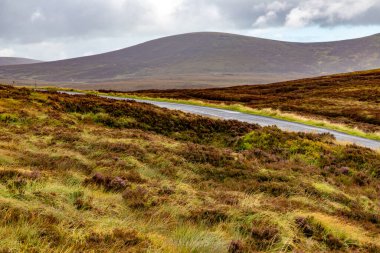Yol, arka planda dağlar olan bataklıklar Sally Gap, Wicklow, İrlanda
