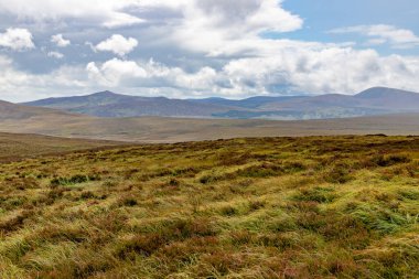 Arka planda dağlar olan bataklıklar Sally Gap, Wicklow, İrlanda
