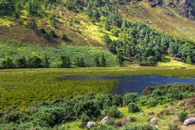 Wicklow Dağı 'nda patika, Wicklow, İrlanda