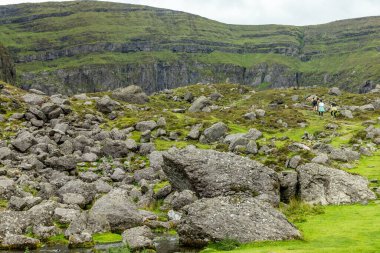 Coumshingaun Lough, Waterford, İrlanda 'da Kayalar ve bitki örtüsü