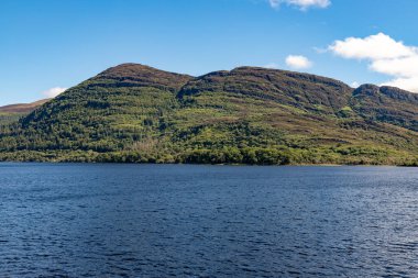 Lough Leane Gölü 'ndeki dağlar, ağaçlar ve bitkiler Killarney, Kerry, İrlanda