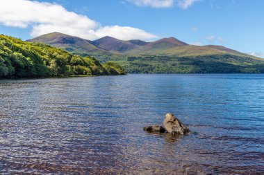 Lough Leane Gölü 'ndeki dağlar, ağaçlar ve bitkiler Killarney, Kerry, İrlanda
