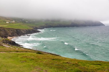 Dunmore Head, Dingle, Kerry, İrlanda 'daki kayalıklar, bitki örtüsü ve dalgalar